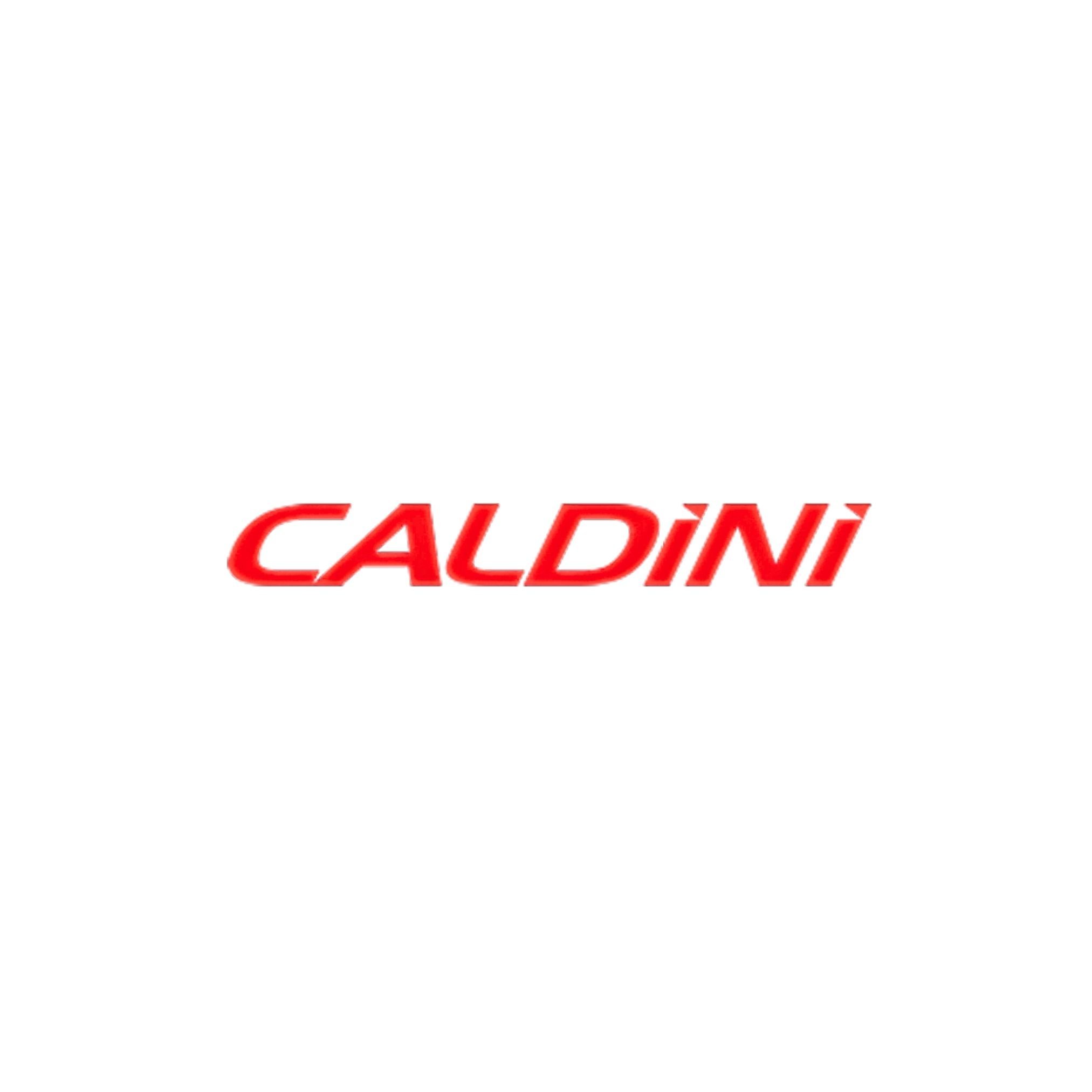 CALDİNİ